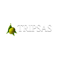 Tripsas OLIVE COMPANY